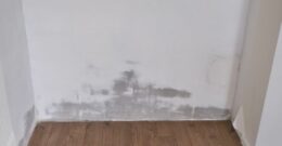 Méthodes d'assèchement des murs - Actimur